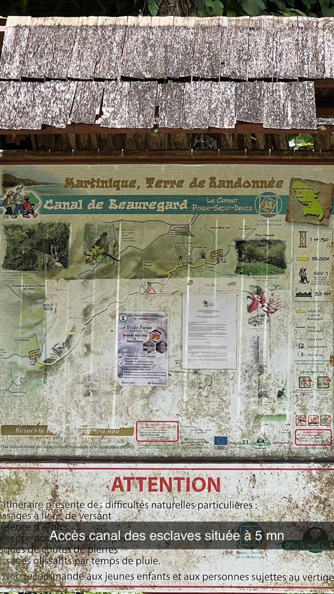 Le Ketmie Nature Et Decouverte Fond-Saint-Denis Exterior foto