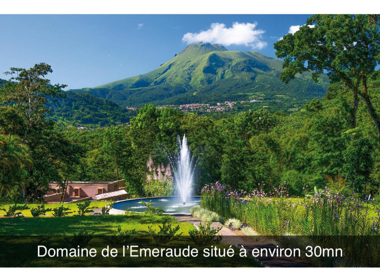 Le Ketmie Nature Et Decouverte Fond-Saint-Denis Exterior foto